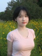 终究各地税务机关征管力度不